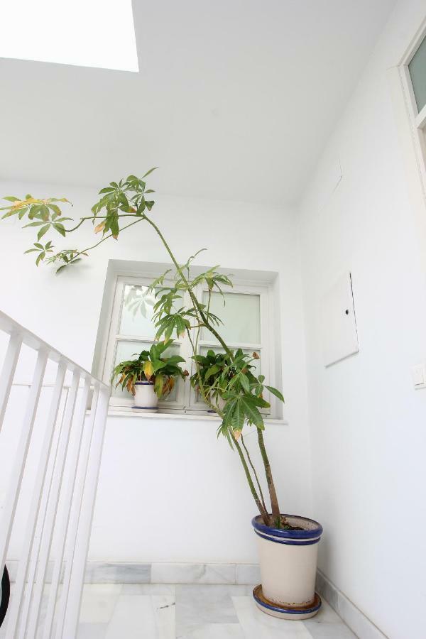 Apartamento Centro San Luis セビリア エクステリア 写真